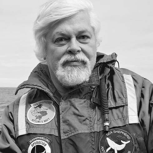 Paul Watson Itoday
