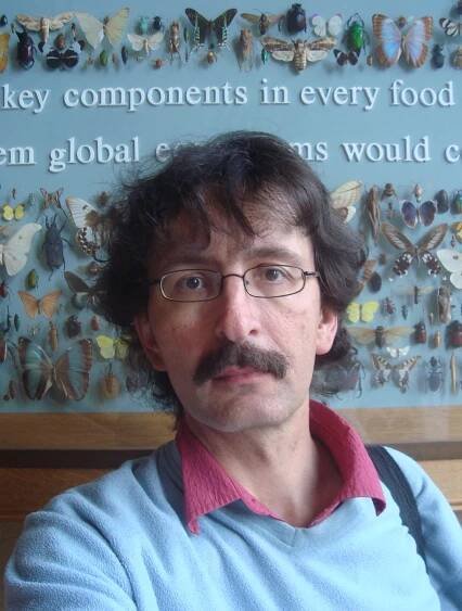 Michael Groß (Autor)