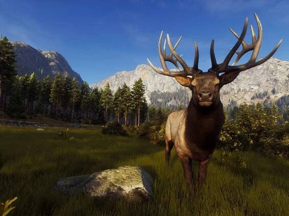 Way of the Hunter Elite Edition