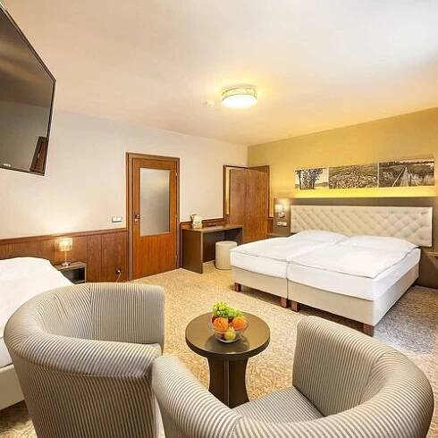 Hotel Zlatá hvězda 1169029289