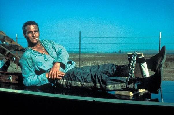 Frajer Luke - Z filmu - Paul Newman