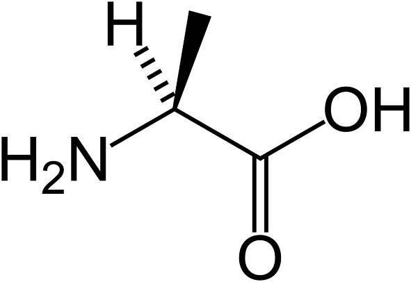Alanīns