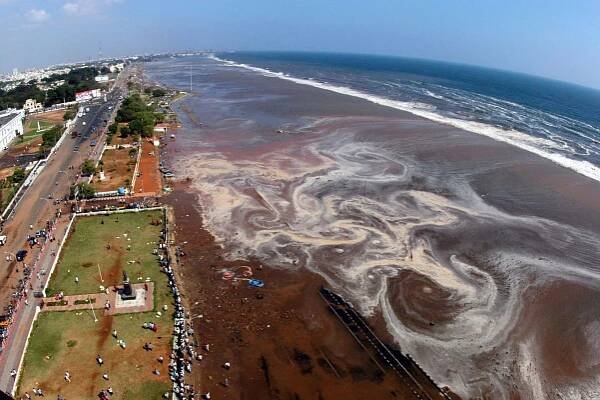 Foto: 10 let po tsunami se ve tvářích lidí opět zračí úsměvy