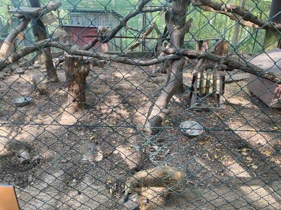 # 73: Zoo Na Hradečku Dolní Pěna (u Jindřichova Hradce) | Mazané výlety