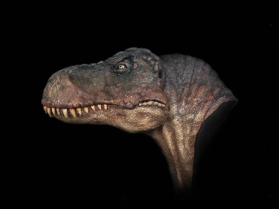 Ceratosaurus | Crecy Models