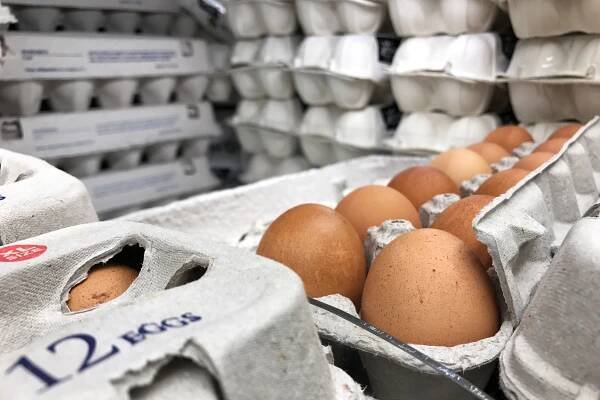 Eggs Recalled Amid Salmonella Outbreak: What to Know