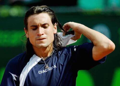 David Ferrer