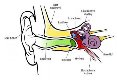 Jóga pro zlepšení sluchu