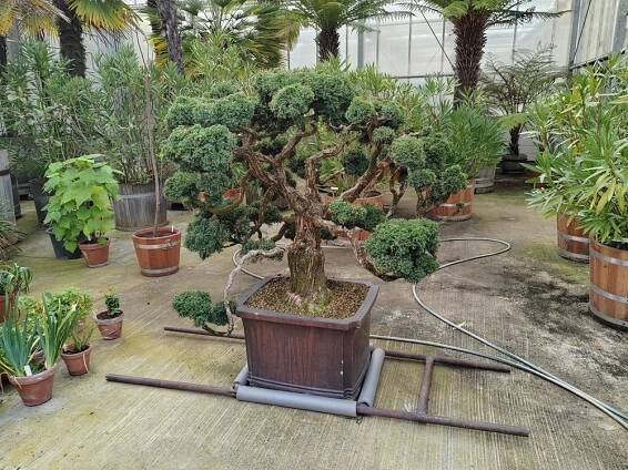Expozice - Botanická zahrada Liberec