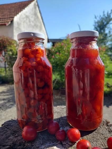 Kurz Fermentace - Za šípkovým keřem