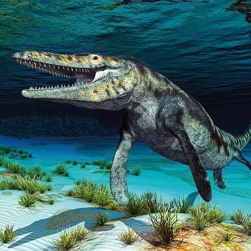 NOTIQUE Poznámkový kalendář Dinosauři 2026, 30 x 30 cm za 166.00CZK - Allegro