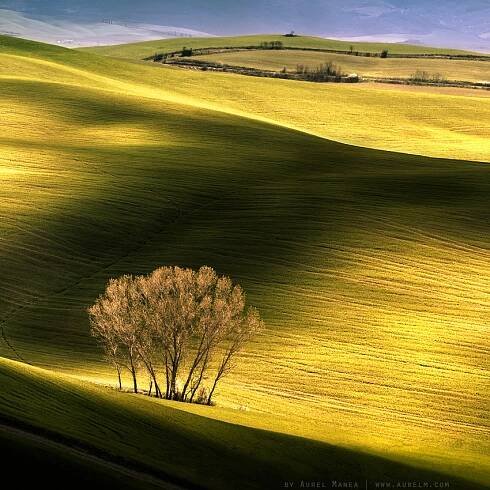 tuscany minimal landscape
