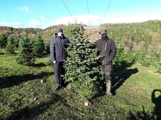 Ve Šlovicích si můžete vánoční strom vybrat už v září. Majitel plantáže stromek označí a připraví | Střední Čechy