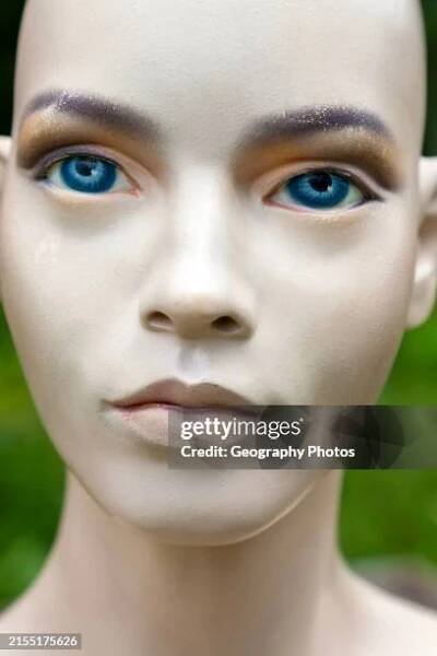 Female mannequin face doll model woman bald blue eyes close-up.
