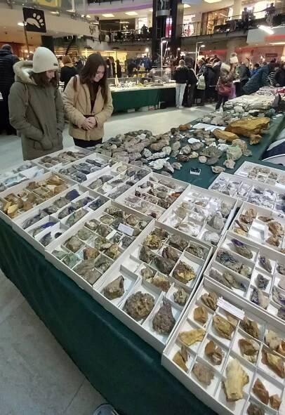 Novinky | Základná škola s materskou školou, Vyšný koniec 969, Čierne