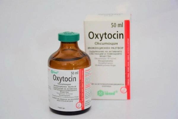 Oxytocin