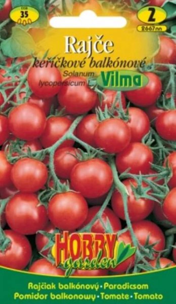 Rajče keříčkové, balkonové - Vilma (semena)