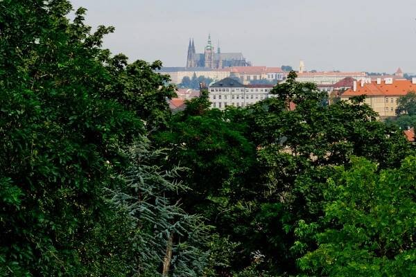 Zeleň v Praze