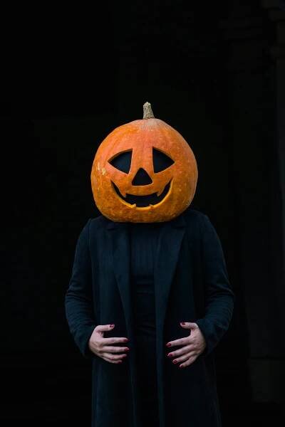 Základová fotografie na téma čarodějka, čarodějnický klobouk, černý klobouk, dekorativní tykev, děsivý, duch halloweenu