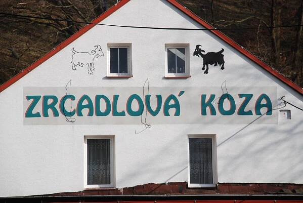 Zrcadlová koza