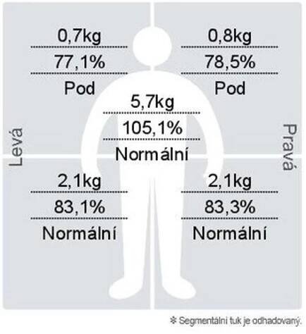 Interpretace - InBody