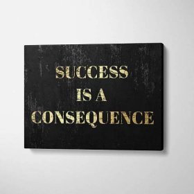 SUCCESS_IS_A_COSEQUENCE3