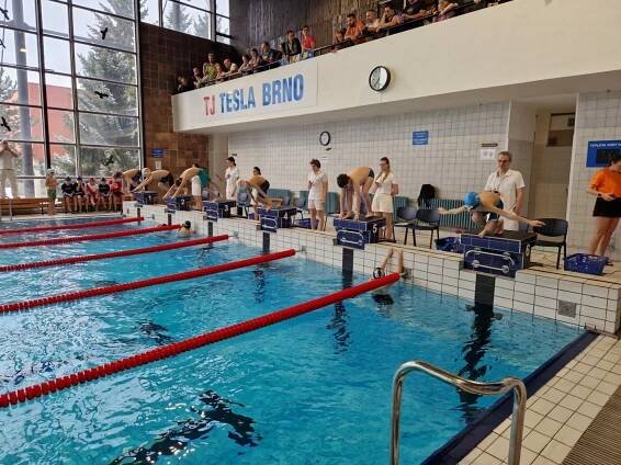 Brněnský tučňáček 2023 - Klub plavecké školy Krokodýl Brno