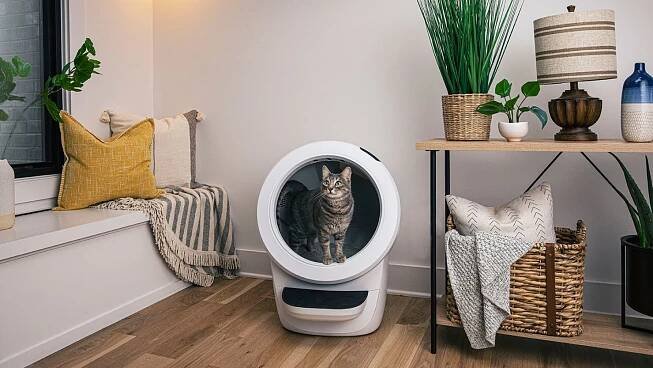 Never scoop poop again with the sleek, brilliantly designed Litter-Robot 4