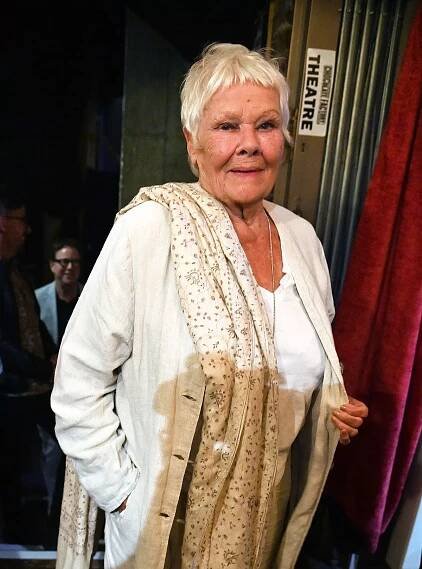 : Dame Judi Dench attends the press night performance of 