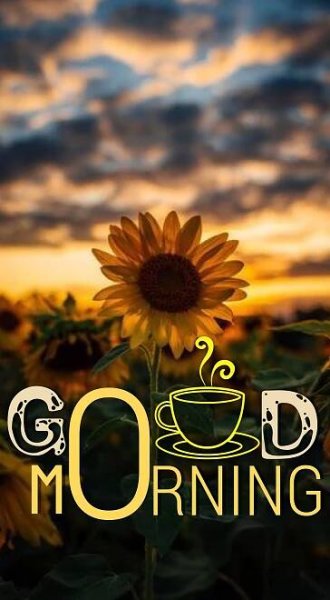 Pin by ijohn on GO♨︎D M☀︎RNING | Good morning nature, Good morning quotes, Good morning beautiful images