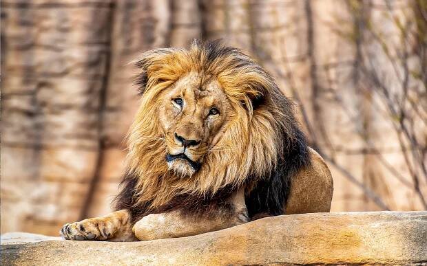 Barcelona Zoo