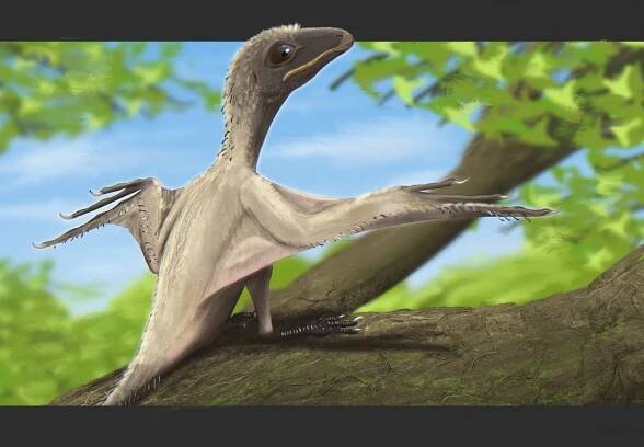 jurassic period on Tumblr