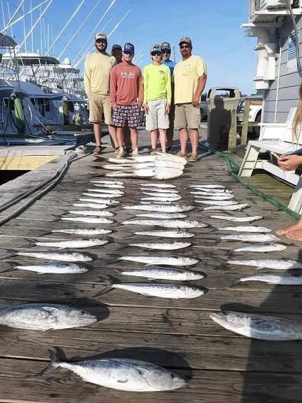 cobia | Outer Banks Charters