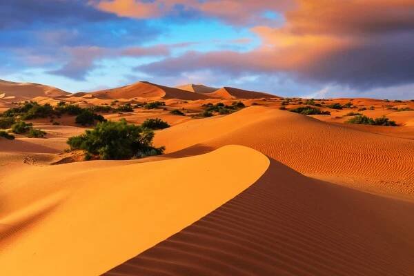 DESERT