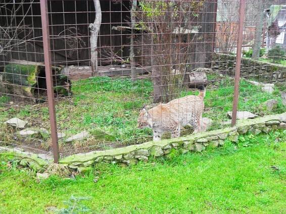 Záchranná stanice v Pasíčkách – Základní škola Raná