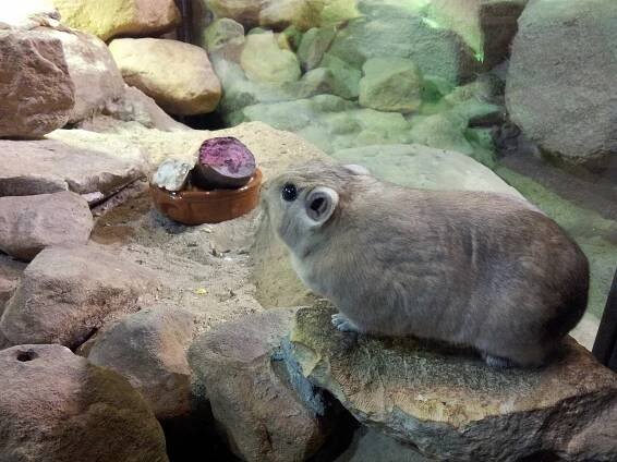 ZOO Praha