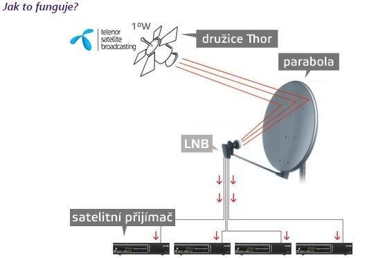 Kontakt – Vaše televize přes internet nebo satelit
