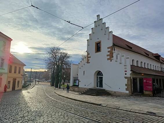 Západočeskou galerií s očima otevřenýma