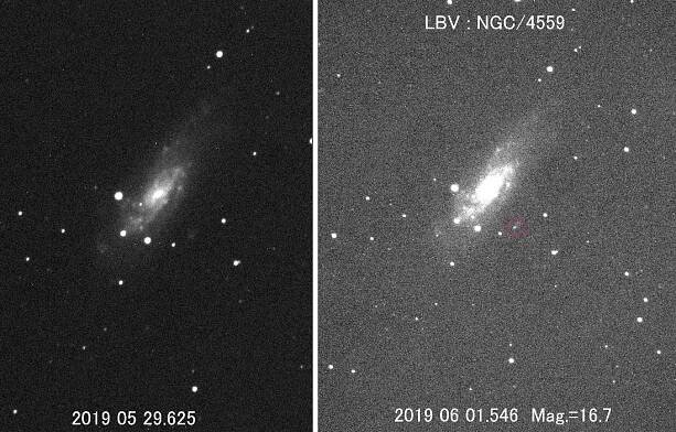 LBV 2016blu in NGC 4559