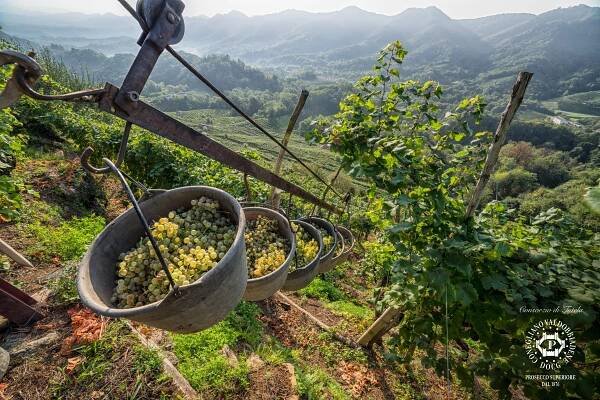Zabublejte si! Svůj svátek slaví Prosecco - Víno a styl