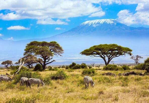 Amboseli - safari s výhledem na Kilimanjaro | CK LEONES
