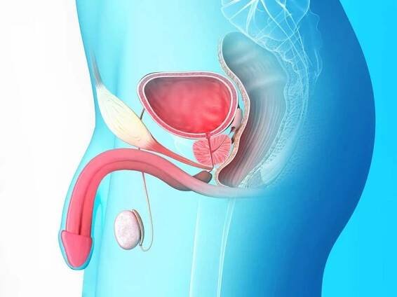 Prostatitida: příčiny, provokující faktory, léčebné metody