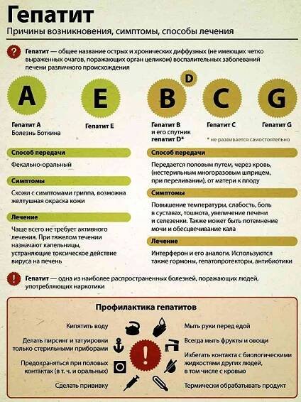 Bolesti jater možná příčiny a doporučení / Gastroenterologie | Užitečné informace a tipy na péči o sebe. Zdraví, výživa