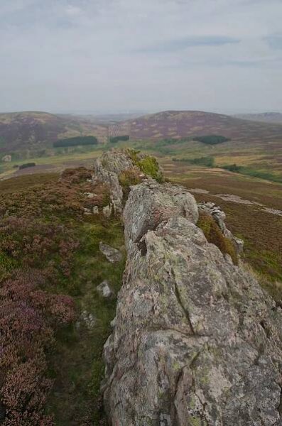 Cheviot and Woolhope Crag - Geology North