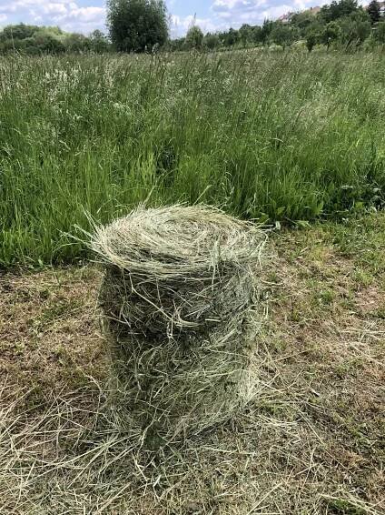 Seno malé kulaté balíky | iFauna.cz