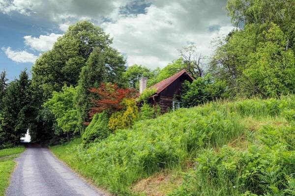 Fotogalerie | Prženské paseky