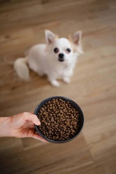 ALMI Dog Adult Mini Fresh Fish/Beef