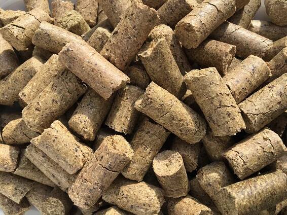 Lecker Bricks Senior - Eggersmann Krmivo pro domácí zvířata