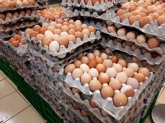 Paris verlangt EU-Reaktion auf verbotene Antibiotika in Eiern aus der Ukraine