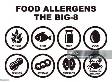 Osm hlavních potravinových alergenů - Bez autorských poplatků Počítačová ikona - Ortografický symbol vektorové obrázky